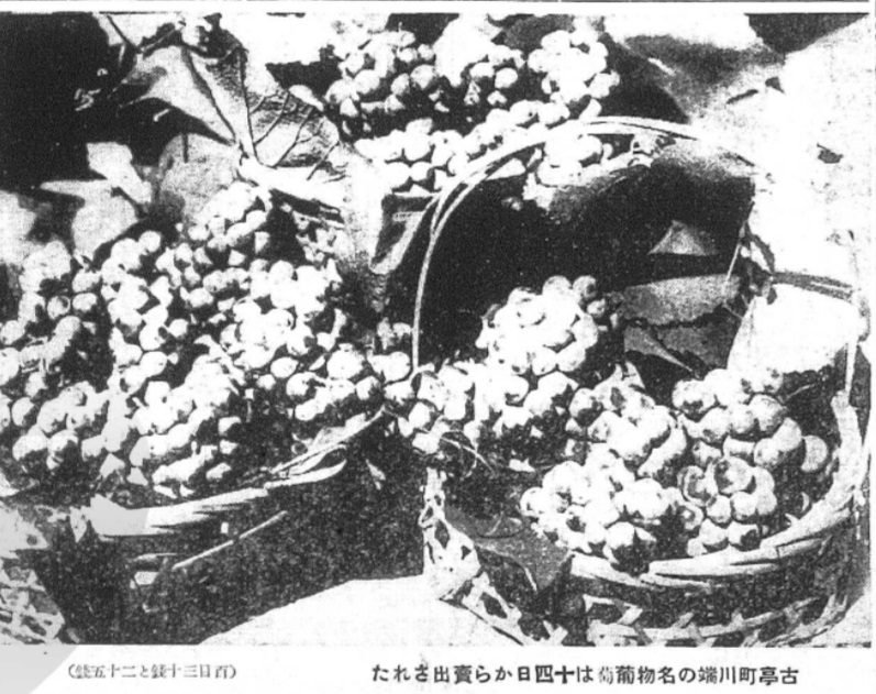 [圖]
